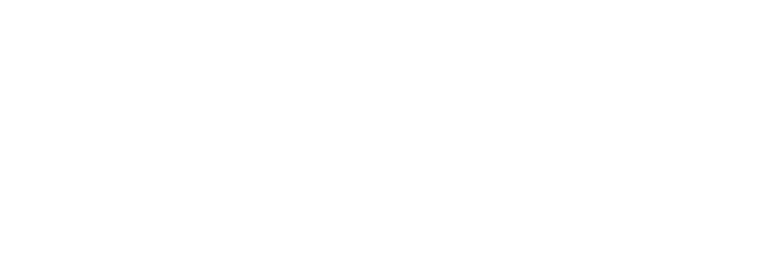 Graph icon